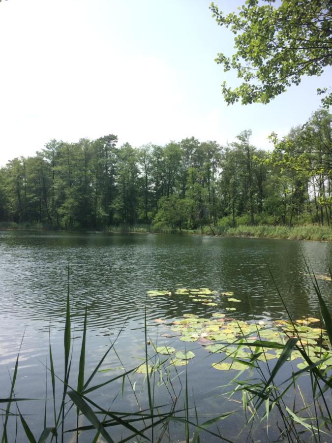 Satnatorium Bed & Breakfast Tuczno Екстериор снимка