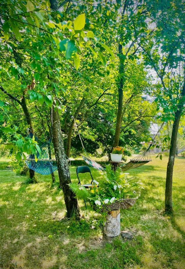 Satnatorium Bed & Breakfast Tuczno Екстериор снимка